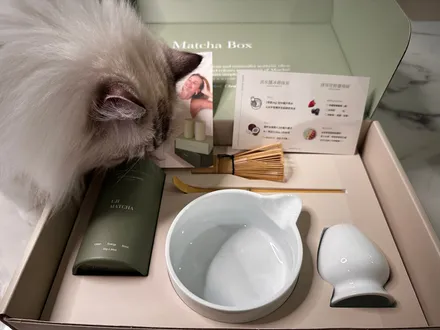 Matcha Fun