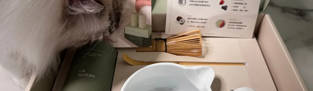 Matcha Fun